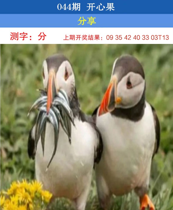 044期开心果[图]