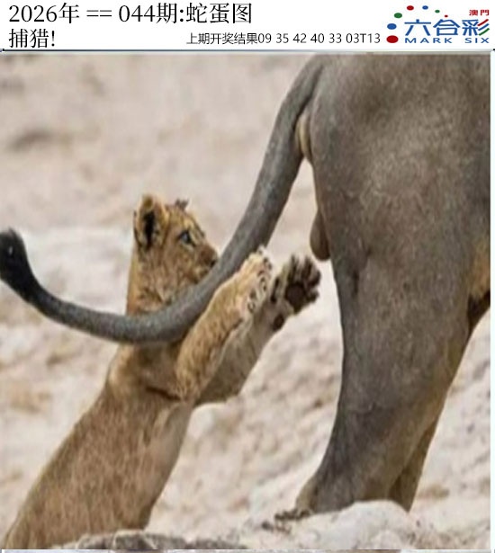 044期正版蛇蛋图[图]