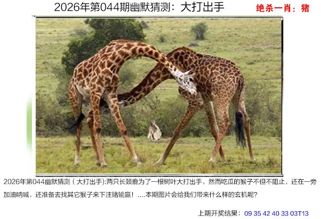 044期幽默猜测[图]