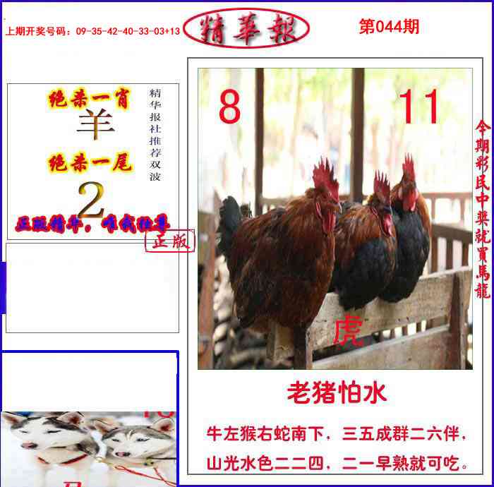 044期新精华报报[图]