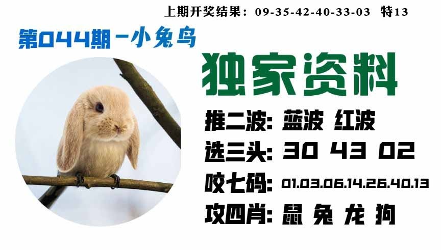 044期小兔鸟[图]